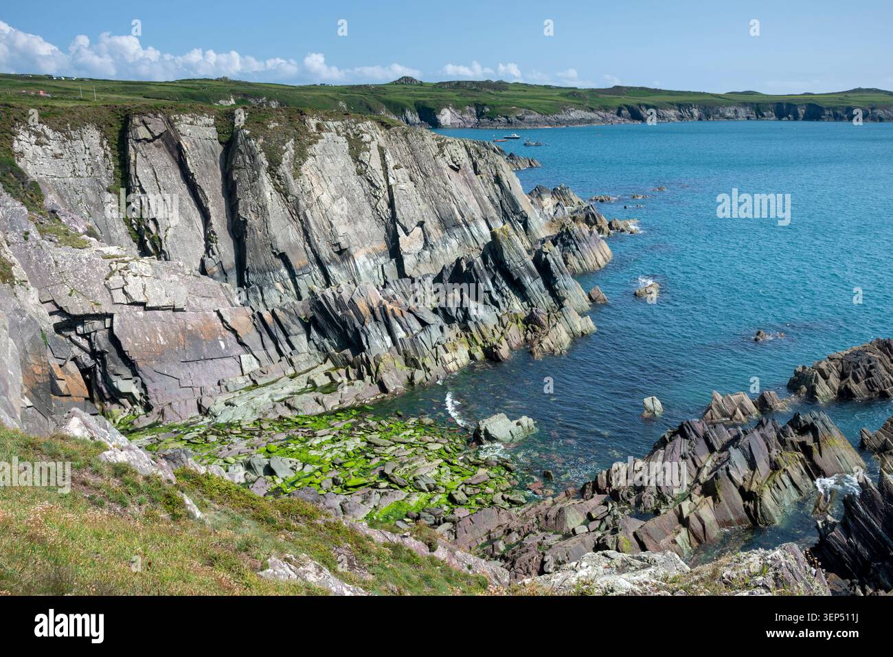 Klippenlandschaft auf dem Pembrokeshire Coast Path rund um Point St John, in der Nähe von St Davids, Pembrokeshire, Wales, Großbritannien. Stockfoto