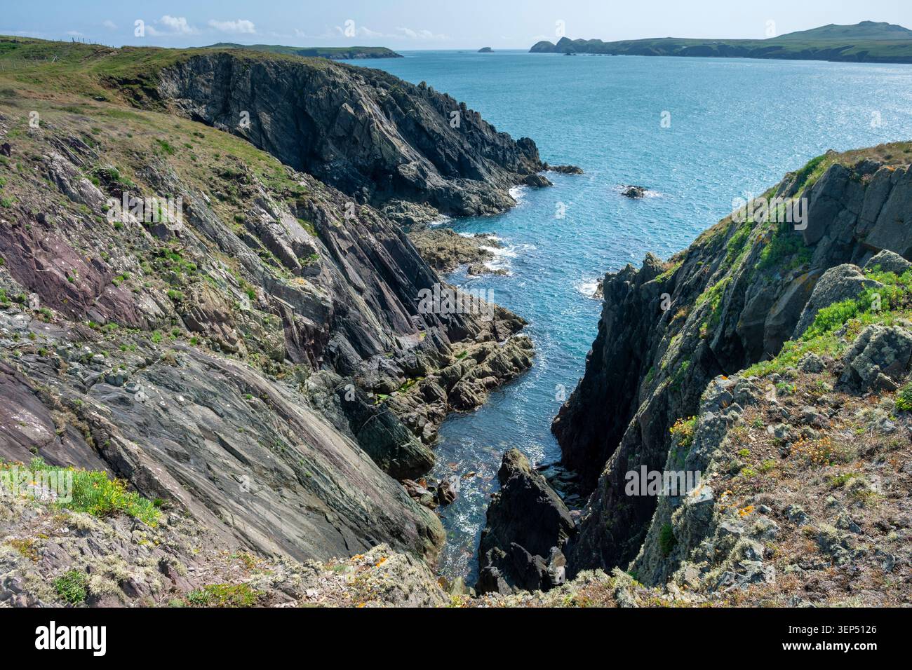 Klippenlandschaft auf dem Pembrokeshire Coast Path rund um Point St John, in der Nähe von St Davids, Pembrokeshire, Wales, Großbritannien. Ramsey Island in der Ferne rechts. Stockfoto
