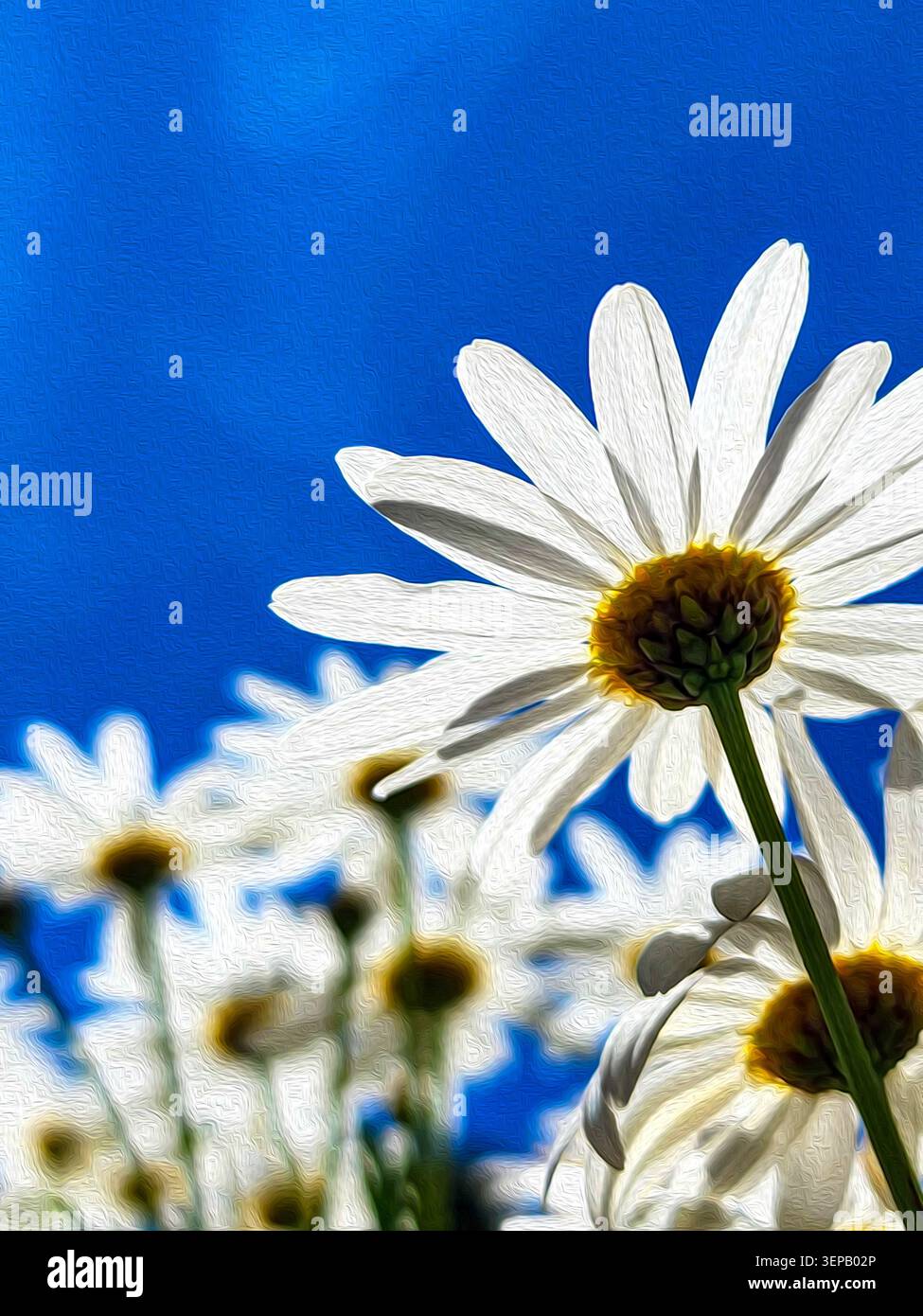 Vertikale abstrakte Ölgemälde, weiße Gänseblümchenblume vor lebendigem blauem Himmel, kühnes impressionistisches Blumenportrait Stockfoto