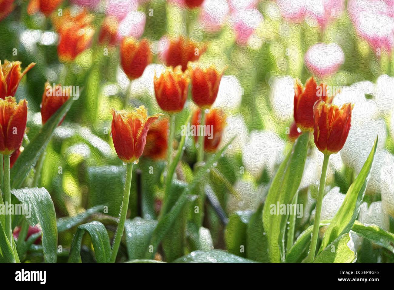 Abstrakte Ölmalerei-Stil orange und gelbe Tulpenfeld, lebendige impressionistische Frühlingsblumenkunst mit pastellfarbenem Hintergrund Stockfoto