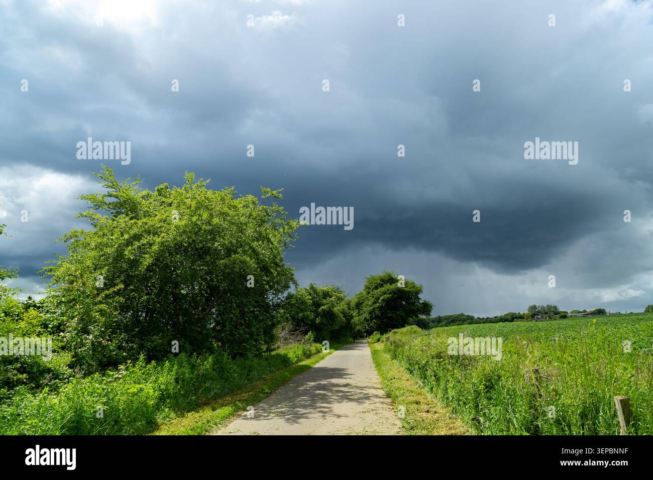 Eine ländliche Landschaft auf dem Fife Küstenwanderweg unter einem dunklen, stürmischen Himmel mit sichtbarem Regen, Dalgety Bay, Fife, Schottland Stockfoto