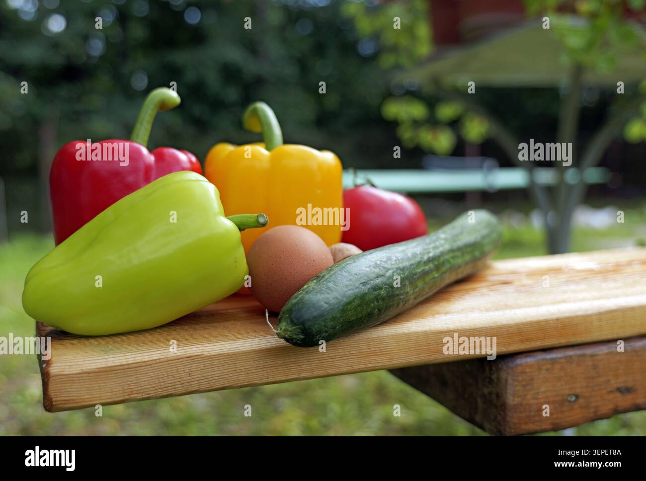 Bunte Paprika, Gurke, Tomate und ein Ei präsentieren ein gesundes Mahlzeitkonzept mit Zutaten aus dem Garten, die für Nährstoffe vorbereitet werden Stockfoto
