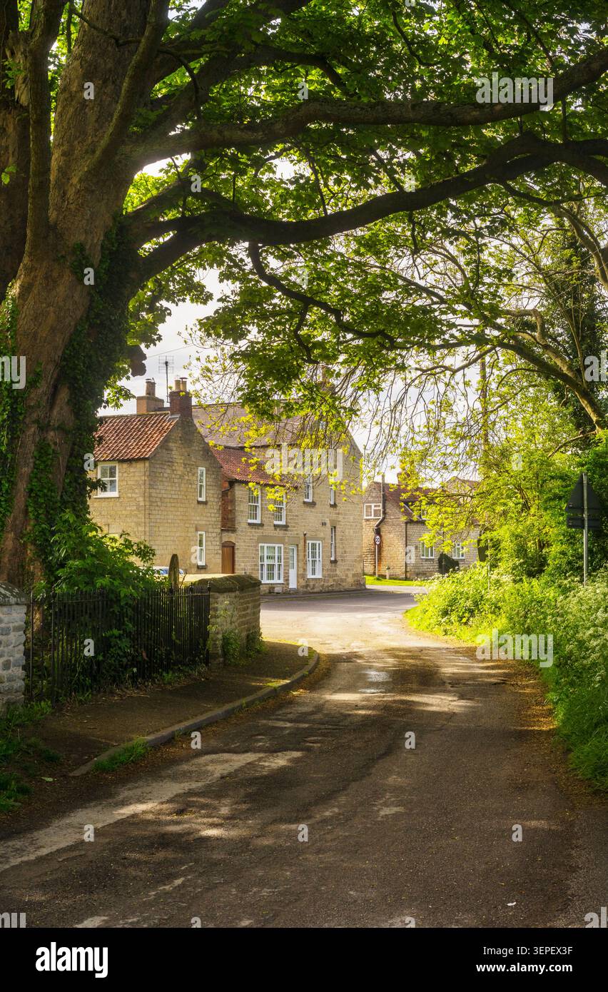 Der Rasen führt zur High Street und Church Lane im Dorf Slingsby, North Yorkshire, England, Großbritannien Stockfoto
