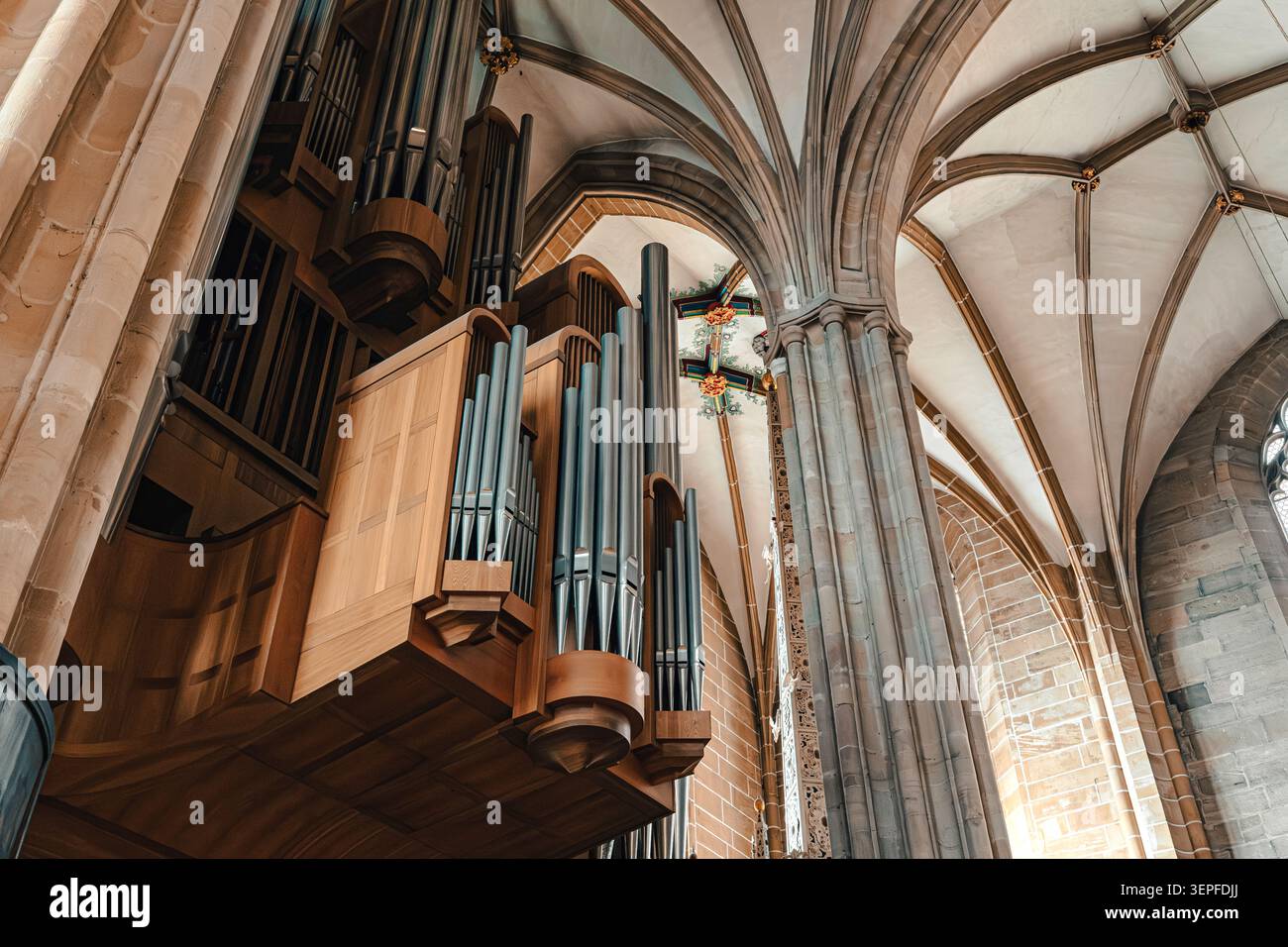 Erfurt, Deutschland - 27. März 2026. Historische Orgelpfeifen der Kirche unter gotischen Gewölbedecken, Steinsäulen, Bögen und detaillierten architektonischen Elementen Stockfoto