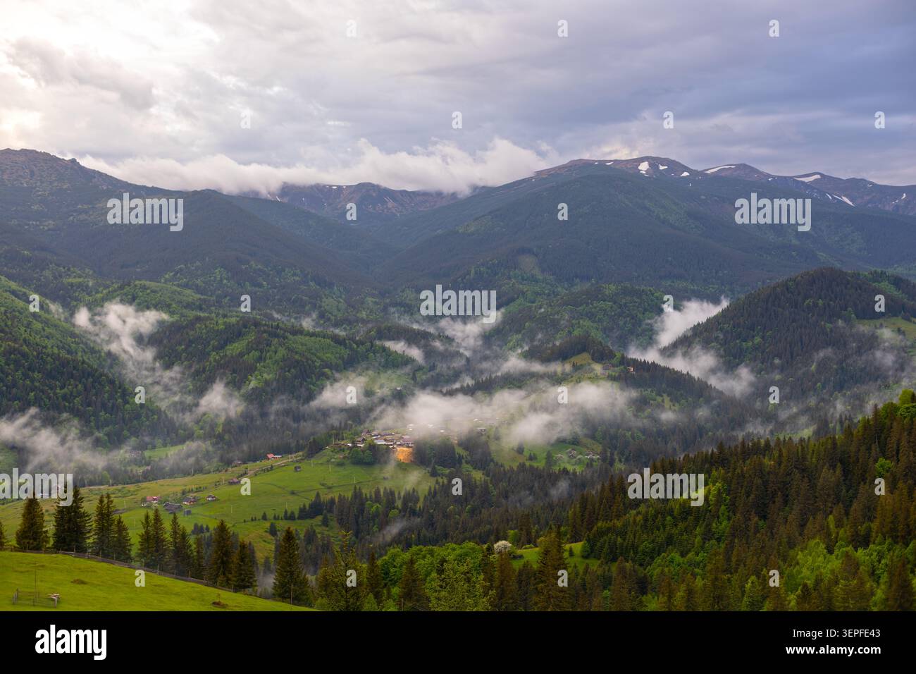 Misty Mountain Valley mit Wald und Dorf. Nebel zieht durch ein grünes Bergtal mit dichtem immergrünem Wald und verstreuten Dorfhäusern Stockfoto