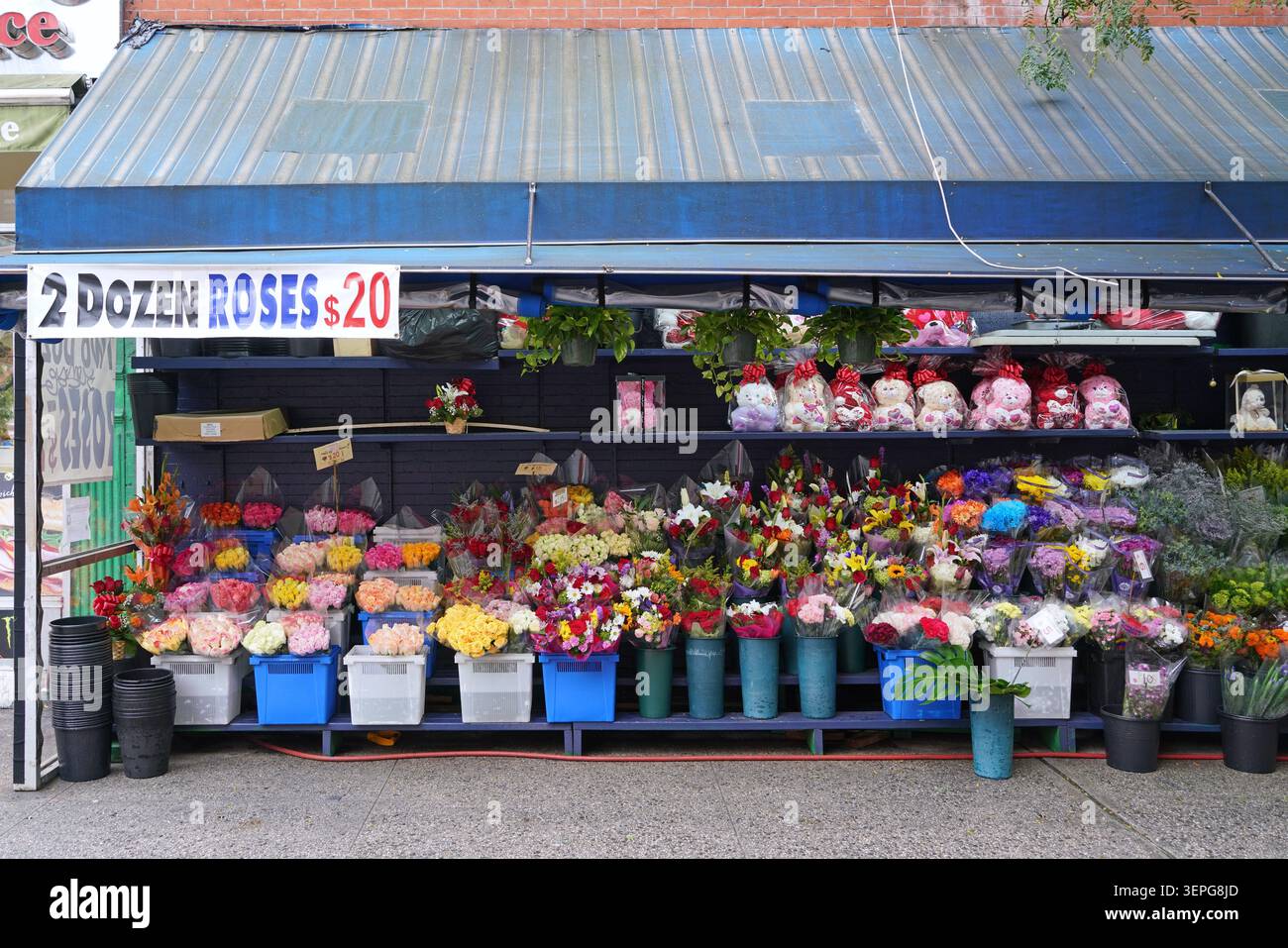 Blumenhändler im Freien, Manhattan, New York City Stockfoto