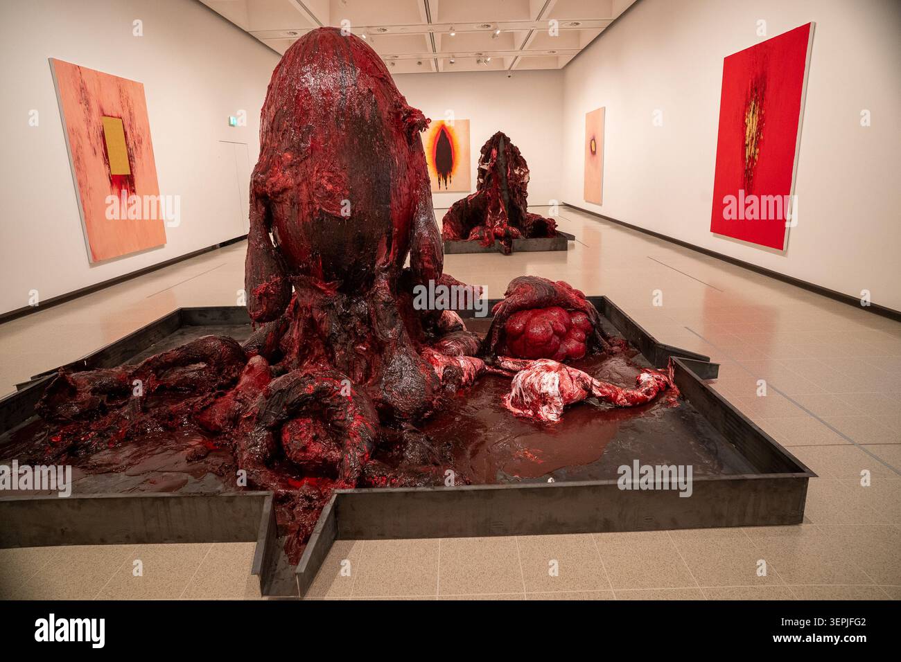 London, Großbritannien. Juni 2026. Anish Kapoor kehrt in die Hayward Gallery zurück, wo er vor 30 Jahren seine ersten großen Ausstellungen in Großbritannien inszenierte. Die Ausstellung zeigt makellose Stahlspiegelskulpturen, die sich verziehen, verzerren und desorientieren; geheimnisvolle Objekte, die mit Vantablack beschichtet sind – der schwärzesten bekannten Substanz der Welt. Di 16 Jun – So 18 Okt 2026 Credit: Mary-Lu Bakker/Alamy Live News Stockfoto