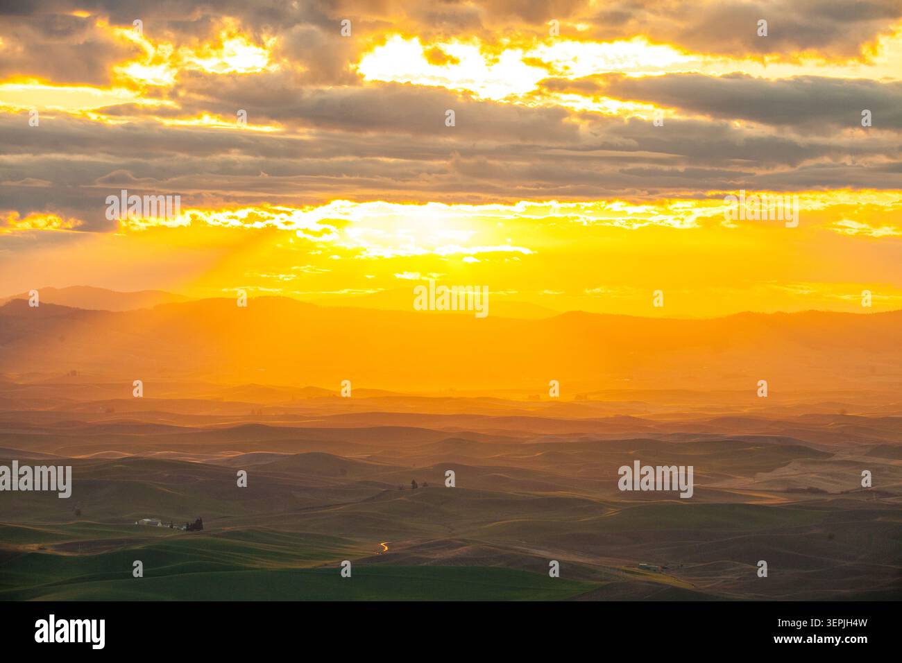 Goldene Sonnenstrahlen strömen über sanfte grüne Hügel Stockfoto