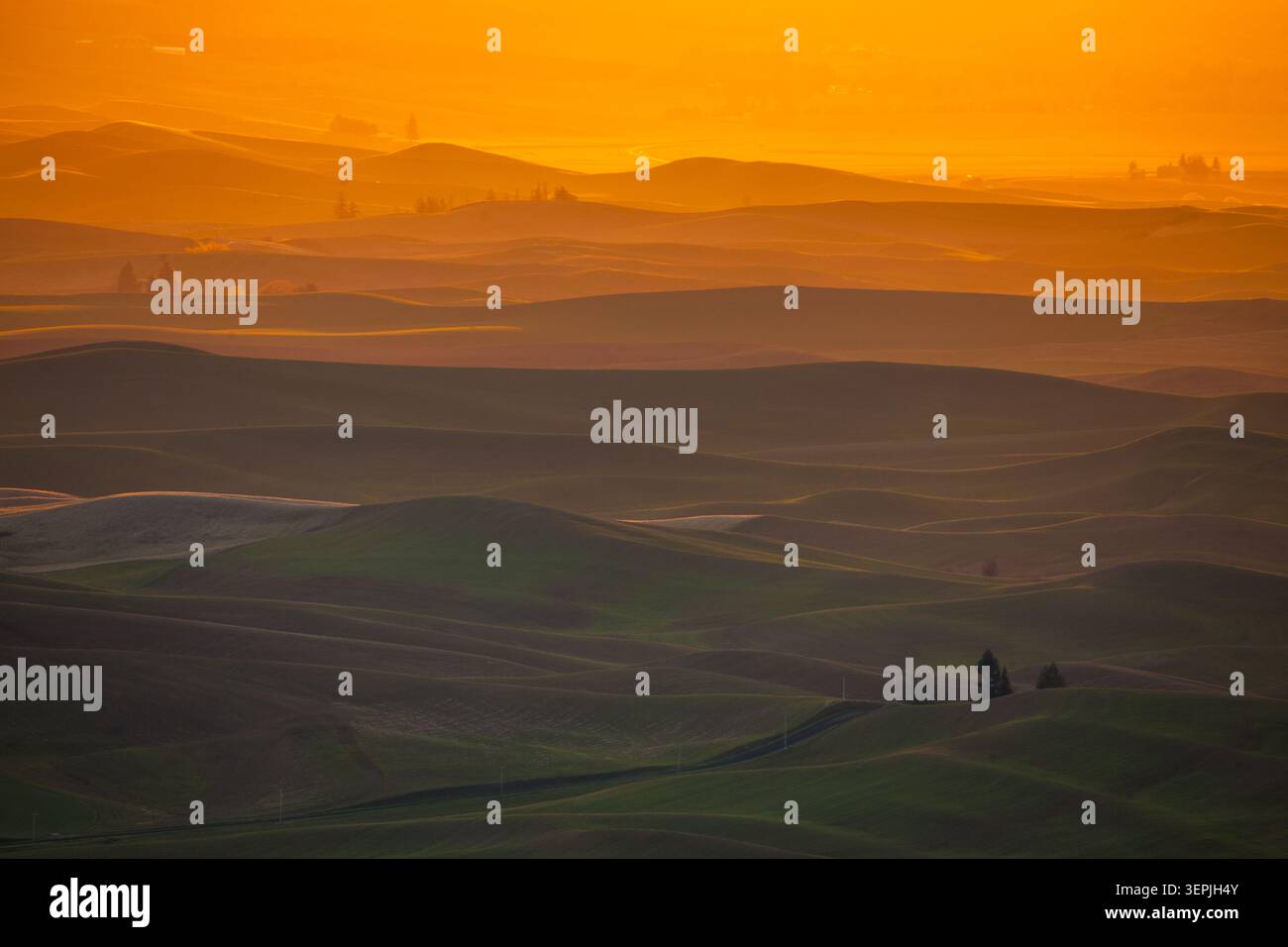 Schichten von sanften Hügeln während einer goldenen Stunde Sonnenuntergang Stockfoto
