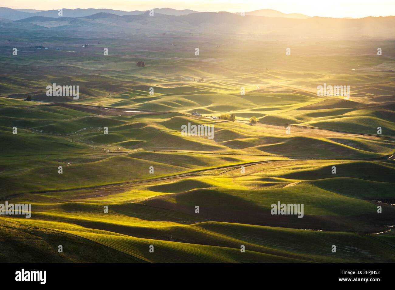 Goldenes Sonnenuntergangslicht über wunderschönen sanften grünen Hügeln Stockfoto
