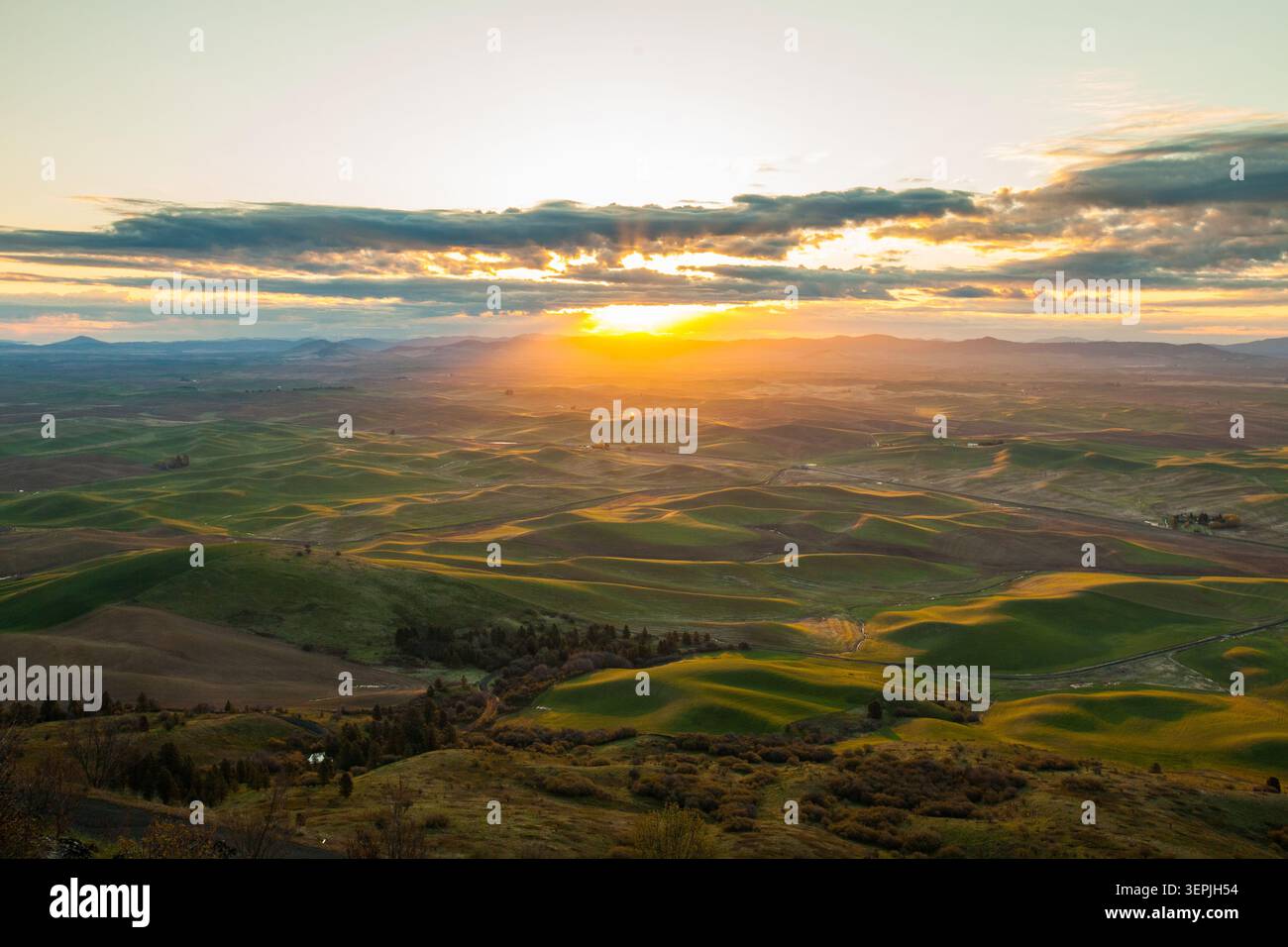 Goldene Sonnenstrahlen über sanften grünen Palouse-Hügeln Stockfoto