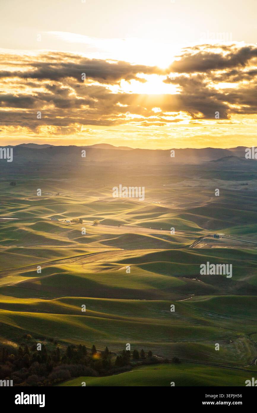 Dramatisches Sonnenuntergangslicht über den grünen Hügeln der Palouse Stockfoto