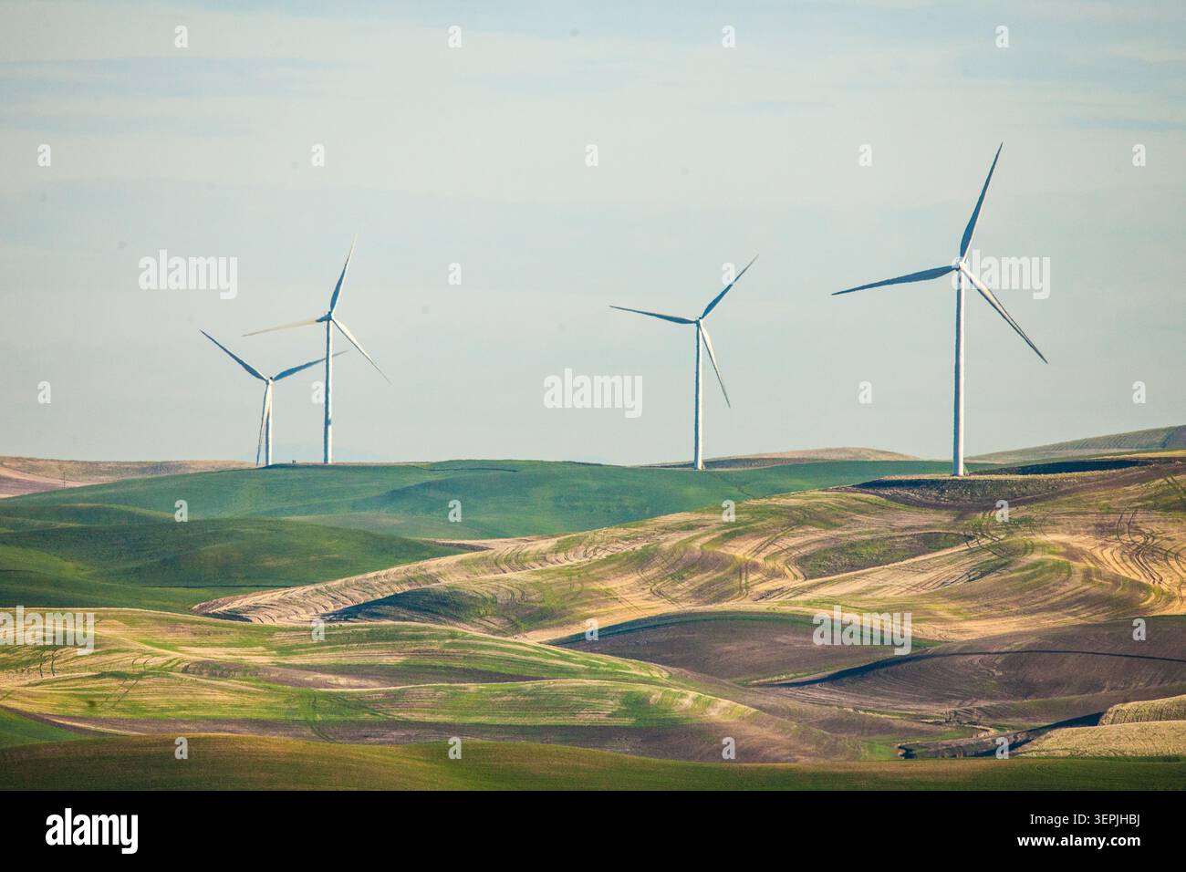 Windturbinen erzeugen Strom über sanfte Hügel Stockfoto