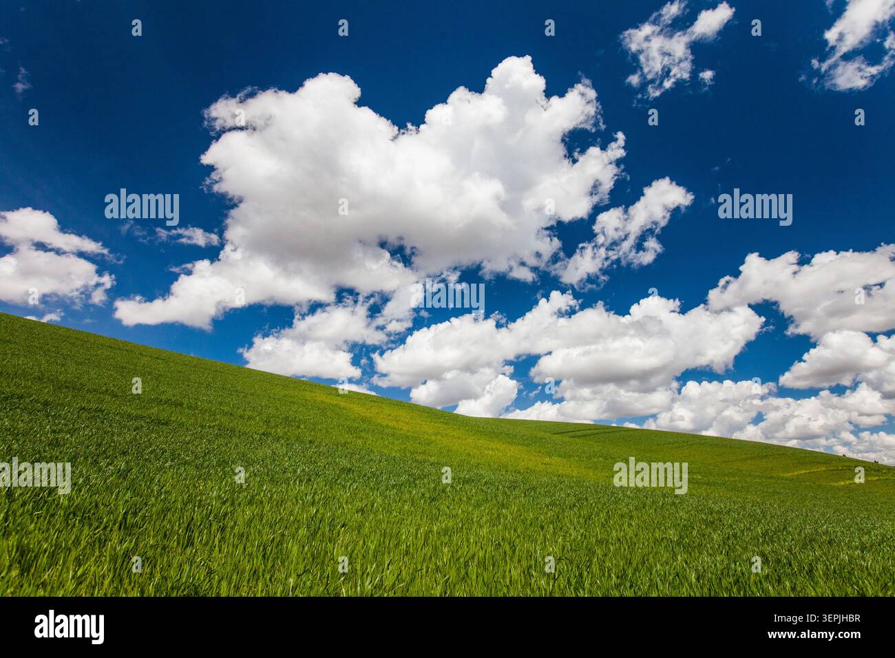 Grüne Hügel unter einem bewölkten blauen Himmel Stockfoto