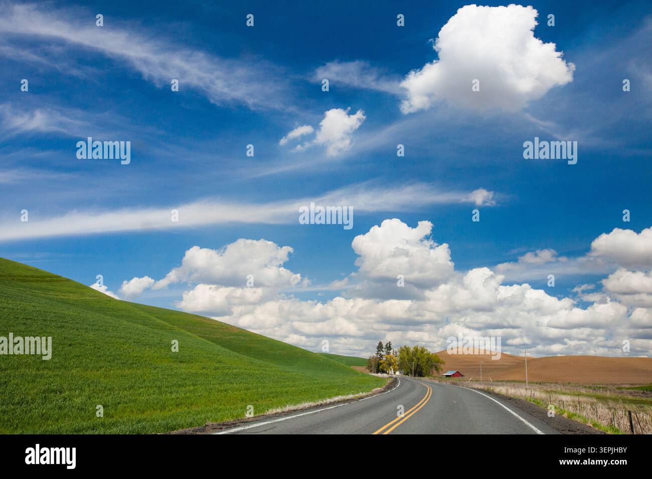 Die Landstraße schlängelt sich durch üppig grüne, sanfte Hügel Stockfoto