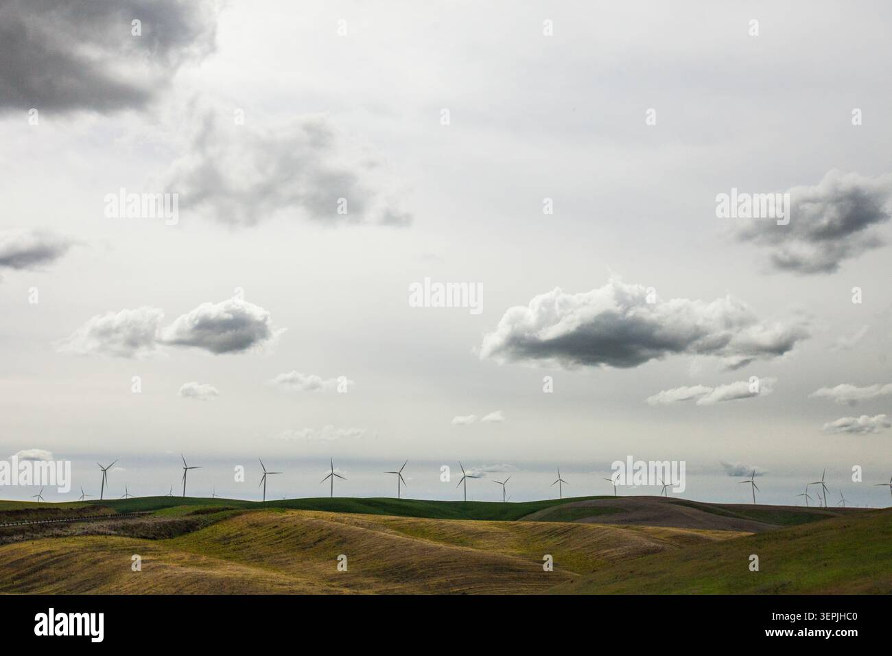 Ein Windpark über sanfte Hügel an einem bewölkten Tag Stockfoto