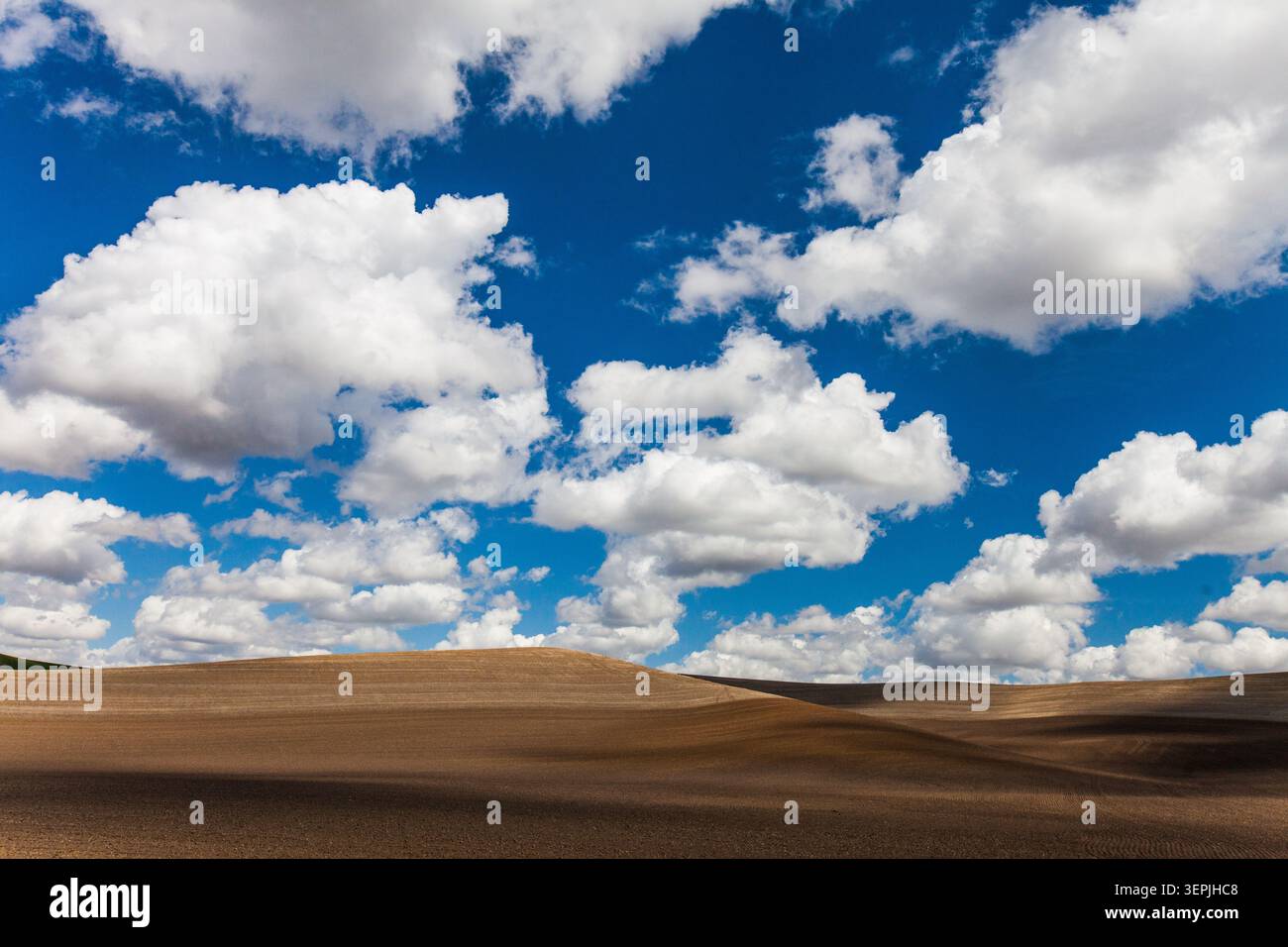 Große weiße Wolken ziehen über sanfte, braune Hügel Stockfoto