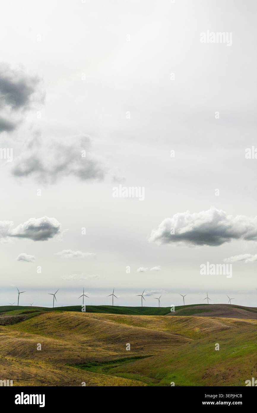 Windturbinen stehen auf fernen Hügeln Stockfoto