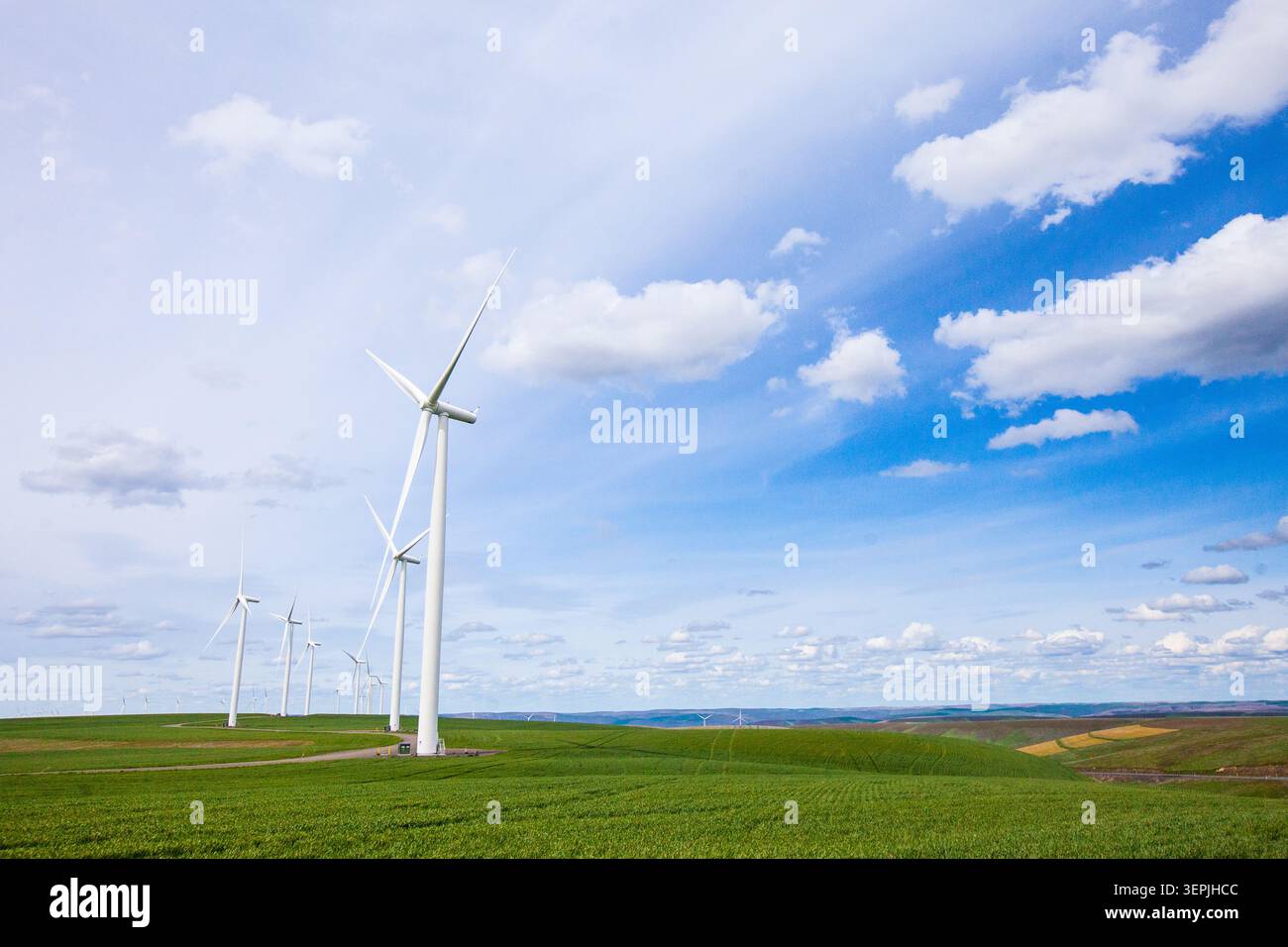Windpark auf sanften grünen Hügeln unter blauem Himmel Stockfoto