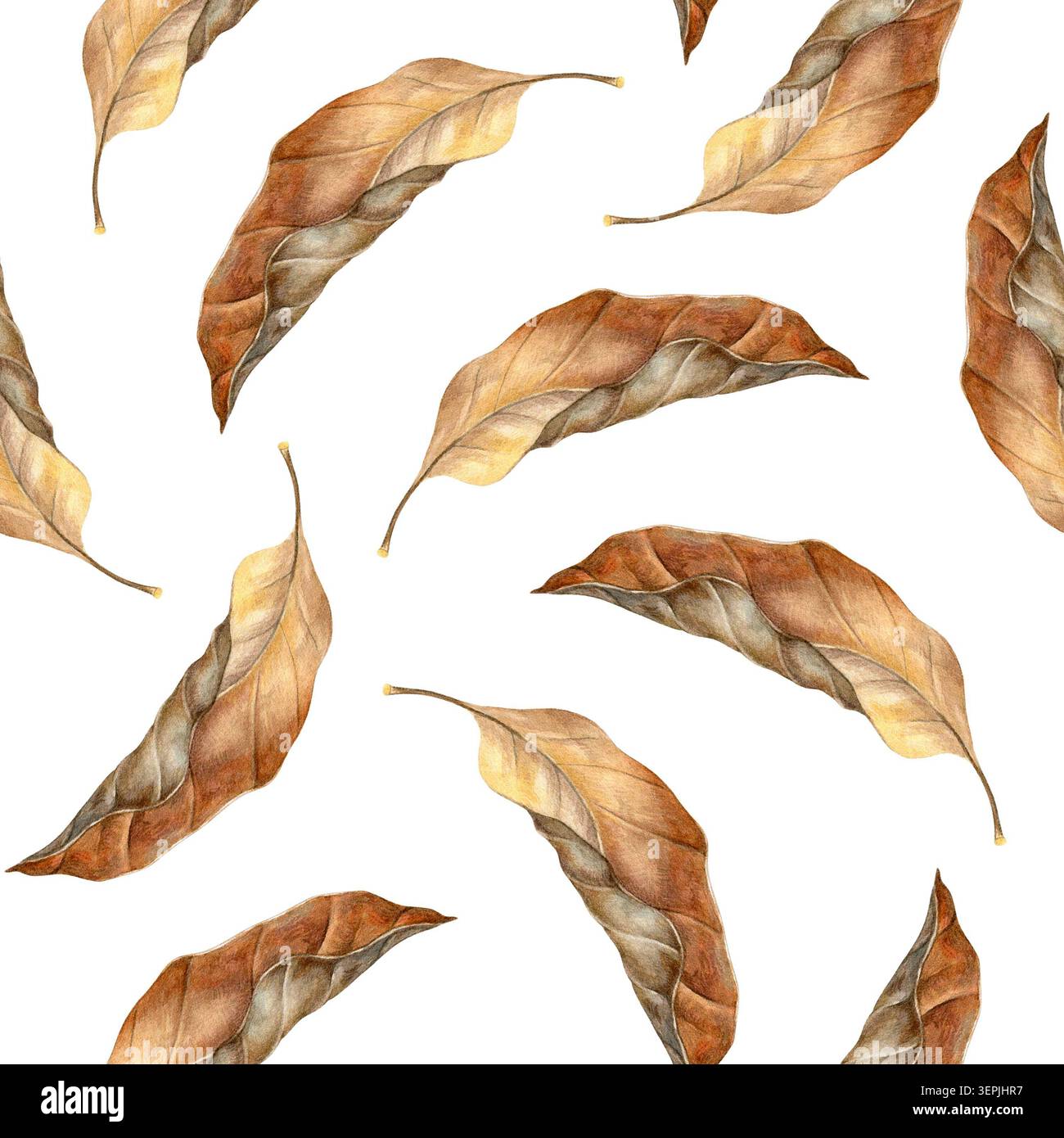 Nahtloses Aquarellmuster mit verstreuten getrockneten Herbstblättern (Buche) in warmen Braun- und Beigetönen. Ideal für Textilien und Geschenkpapier Stockfoto