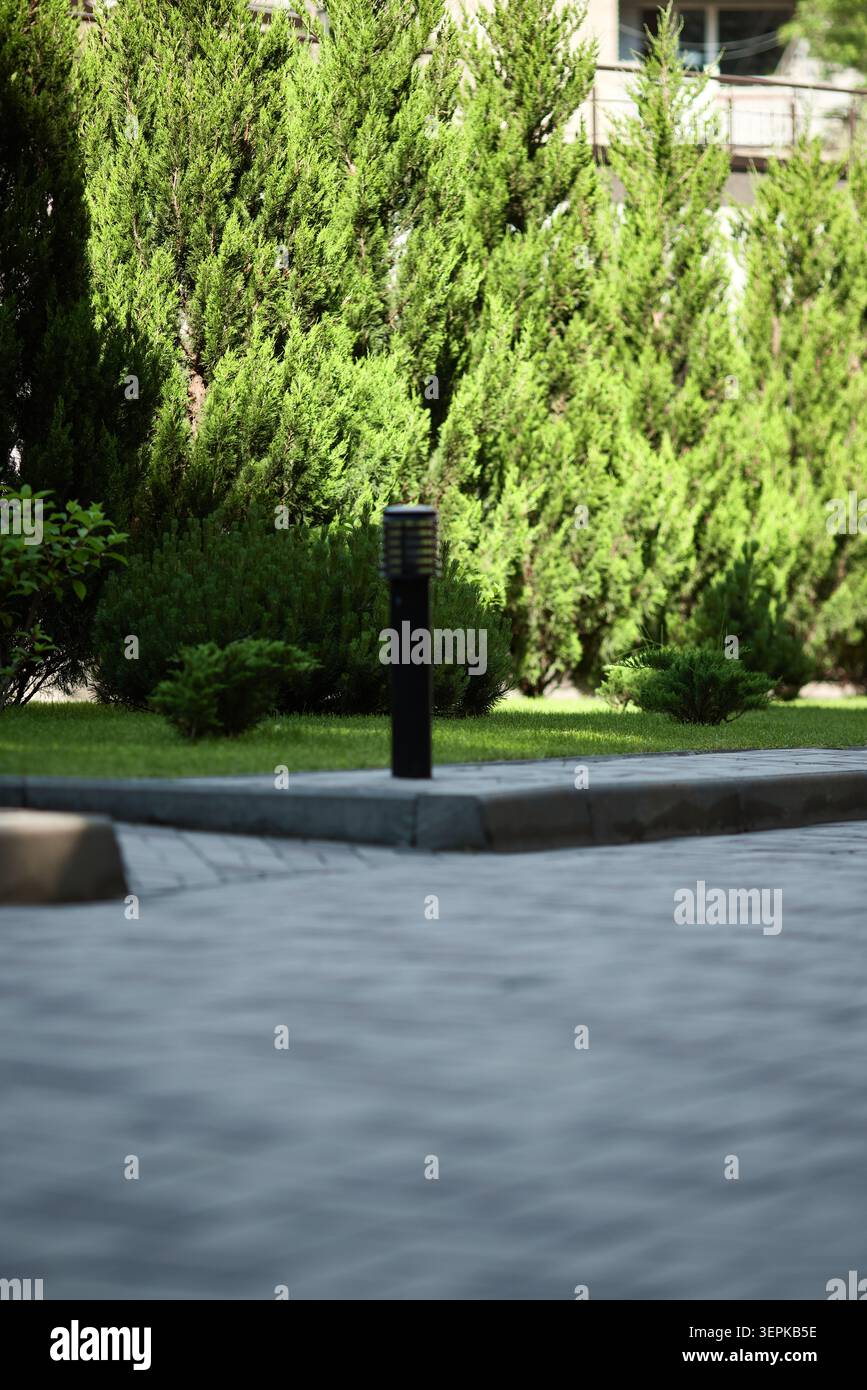 Gartenweg mit moderner Außenlampe neben leuchtend grünen Zypressen und gepflegtem Rasen im Stadtpark Stockfoto
