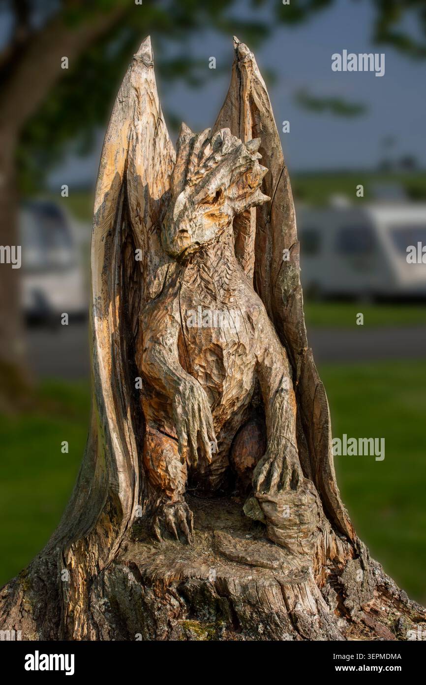 Holzschnitzerei eines Drachen auf einem Campingplatz in der Nähe von Corwen, Denbighshire, Wales, Großbritannien Stockfoto