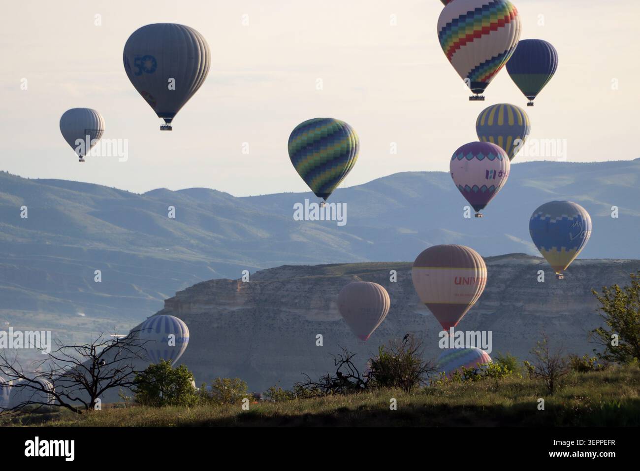 Farbenfrohe Heißluftballons schweben ruhig über die einzigartigen Felsformationen und üppigen Täler von Kappadokien, Türkei. Stockfoto