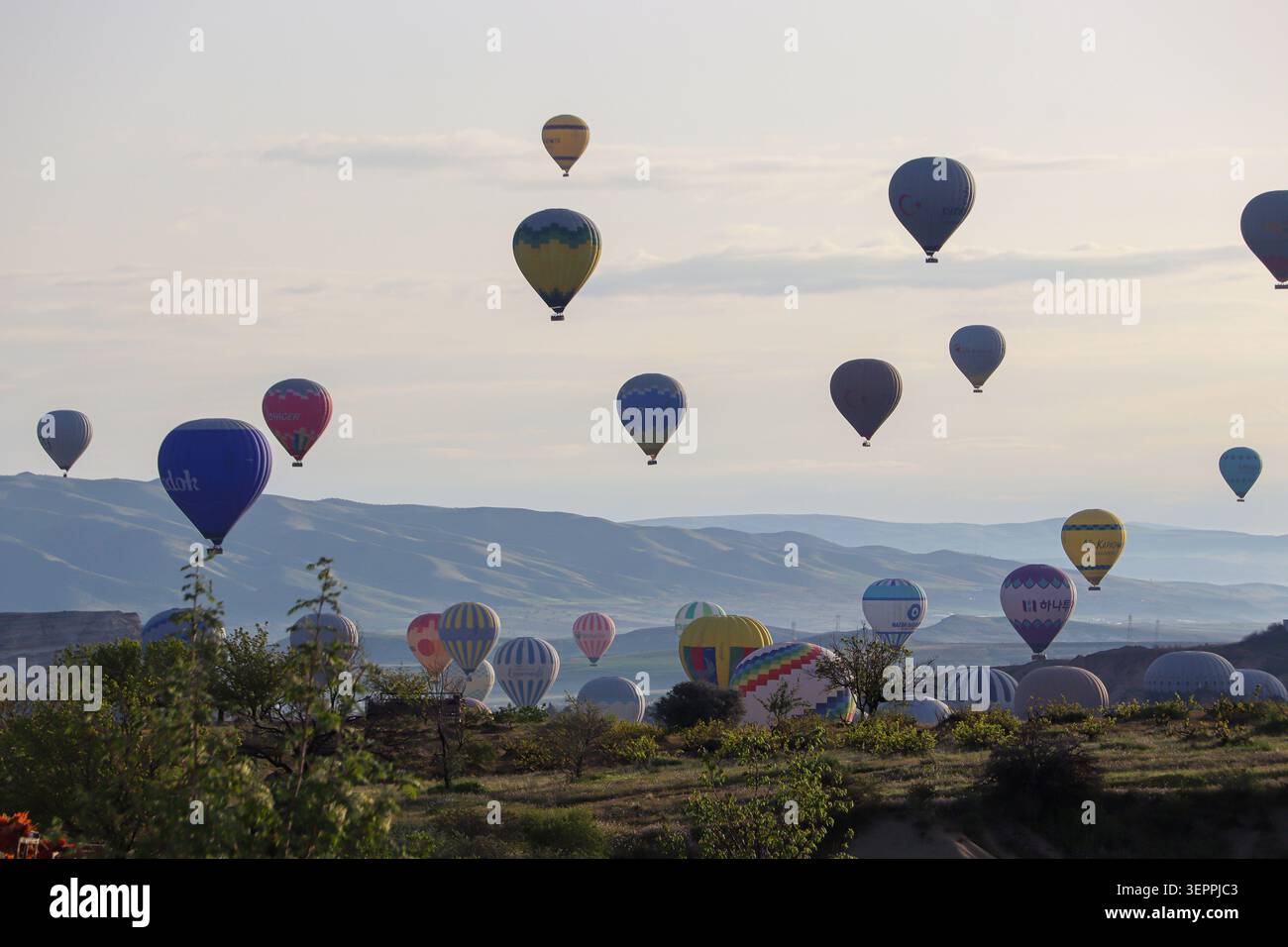 Ein atemberaubender Blick auf verschiedene Heißluftballons, die über die einzigartige Landschaft Kappadokiens in der Türkei treiben. Stockfoto