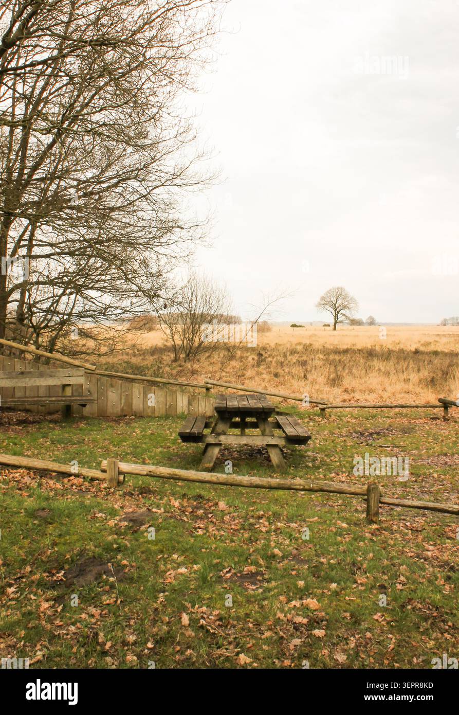Rustikaler Holzzaun rund um einen Picknickplatz im Dwingelderveld-Nationalpark Stockfoto