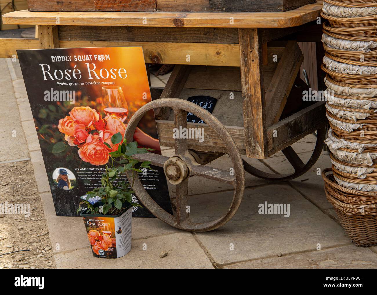 Schilderwerbung Rose Blumen neben einem Holzwagen und gestapelten Korbkörben im Diddly Squat Farm Shop Chadlington Oxfordshire Stockfoto