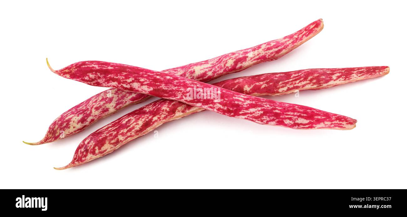 Frische Borlotti-Bohnenschoten mit markanter rot-weißer Färbung, isoliert auf weißem Hintergrund. Natürliche Hülsenfrüchte, landwirtschaftliche Produkte, gesunde Lebensmittel Stockfoto