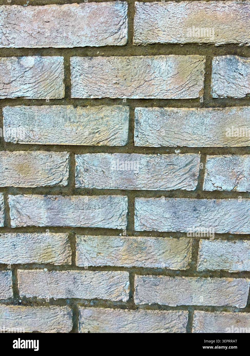 Eine detaillierte Nahaufnahme einer strukturierten Ziegelwand mit sichtbaren Mörtellinien, die Farbvariationen und raue Oberflächendetails zeigt. - Smartphone-aufgenommenes Stockfoto