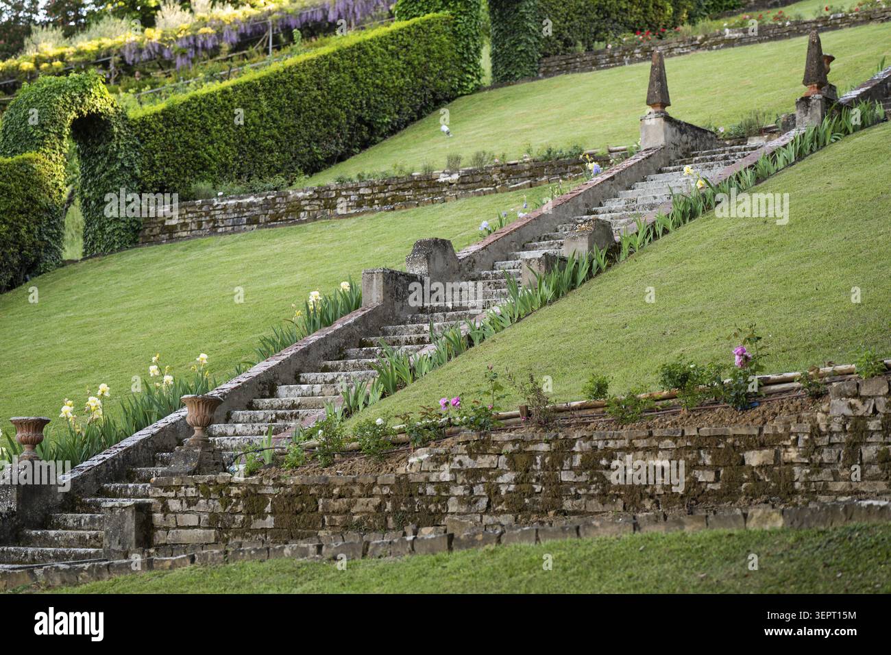 Alte Steintreppe, Steinmauer, Hecke und gepflegter Rasen, Bardini Garten oder Giardino Bardini, Florenz, Toskana, Italien Stockfoto