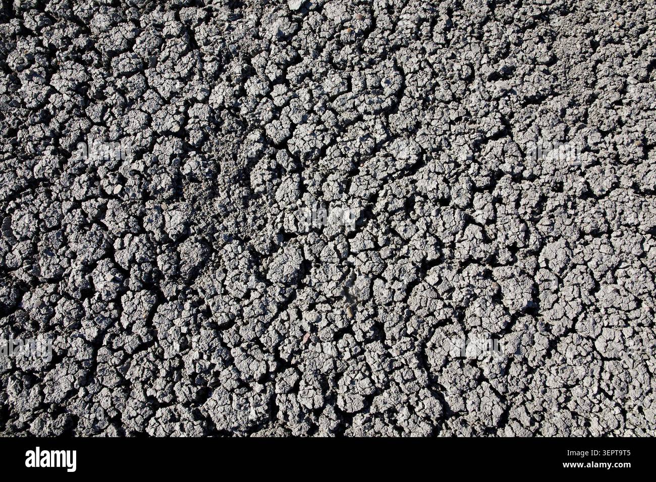 Getrockneter, zerrissener Schlamm in einem Prärie-Badland in der Red Rock Coulee Natural Area, Alberta, Kanada Stockfoto