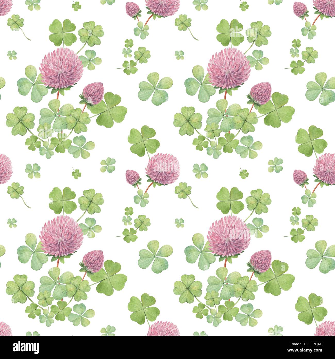 Aquarellmuster Wiesenblumen, botanisches Muster Stockfoto