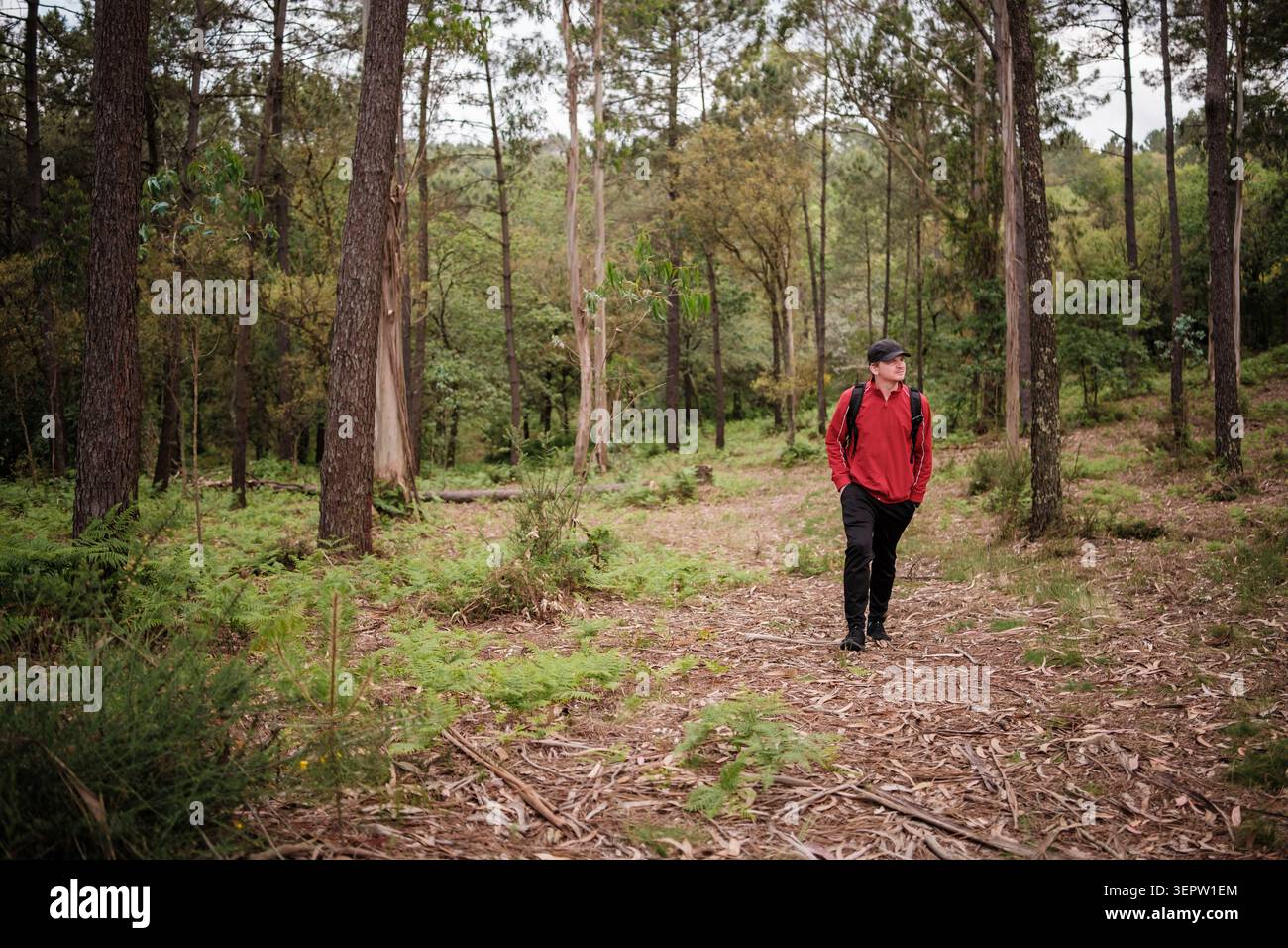 Mann in roter Jacke, der einen Spaziergang durch einen grünen Wald genießt Stockfoto