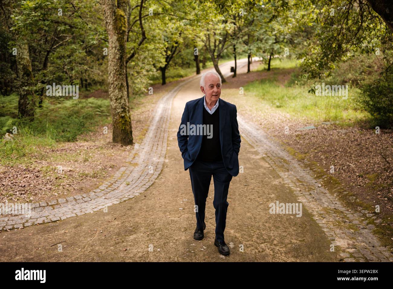 Älterer Mann, der auf einem Weg in einem Waldpark läuft, umgeben von Bäumen und grünem Laub Stockfoto