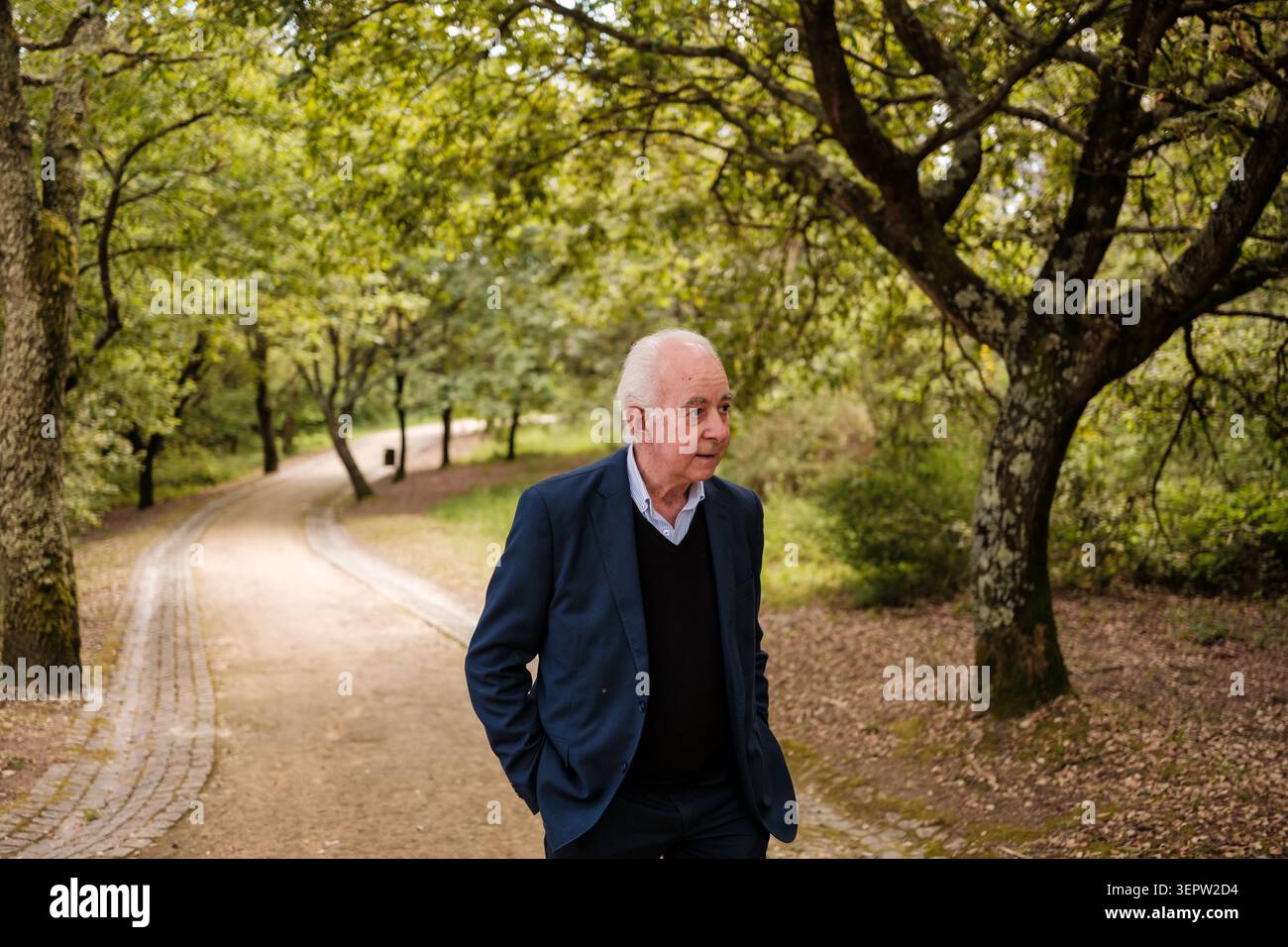 Der Philosoph antonio escohotado spaziert auf einem schattigen Waldweg und denkt nach Stockfoto