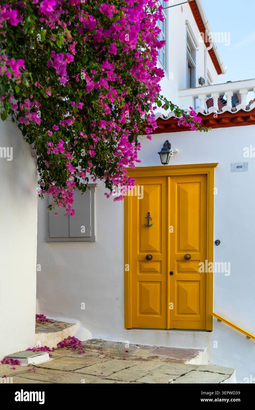 Gelbe Tür und Bougainvillea in einer Straße in Hydra Town, Hydra Island, Saronischen Inseln, Griechenland Stockfoto