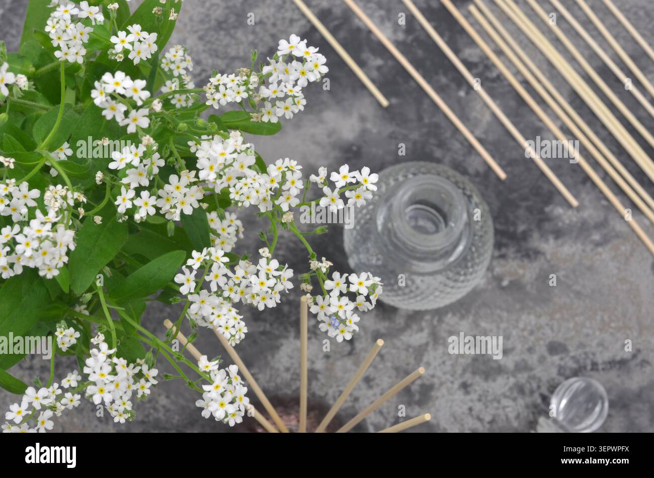 Hobby, ökologischer Lebensstil: Hausgemachte Duftstoffe, natürlicher Lufterfrischer. Flache Tiefe des Feldes weiße Blüten im Vordergrund, verschwommener Schnabel. Stockfoto