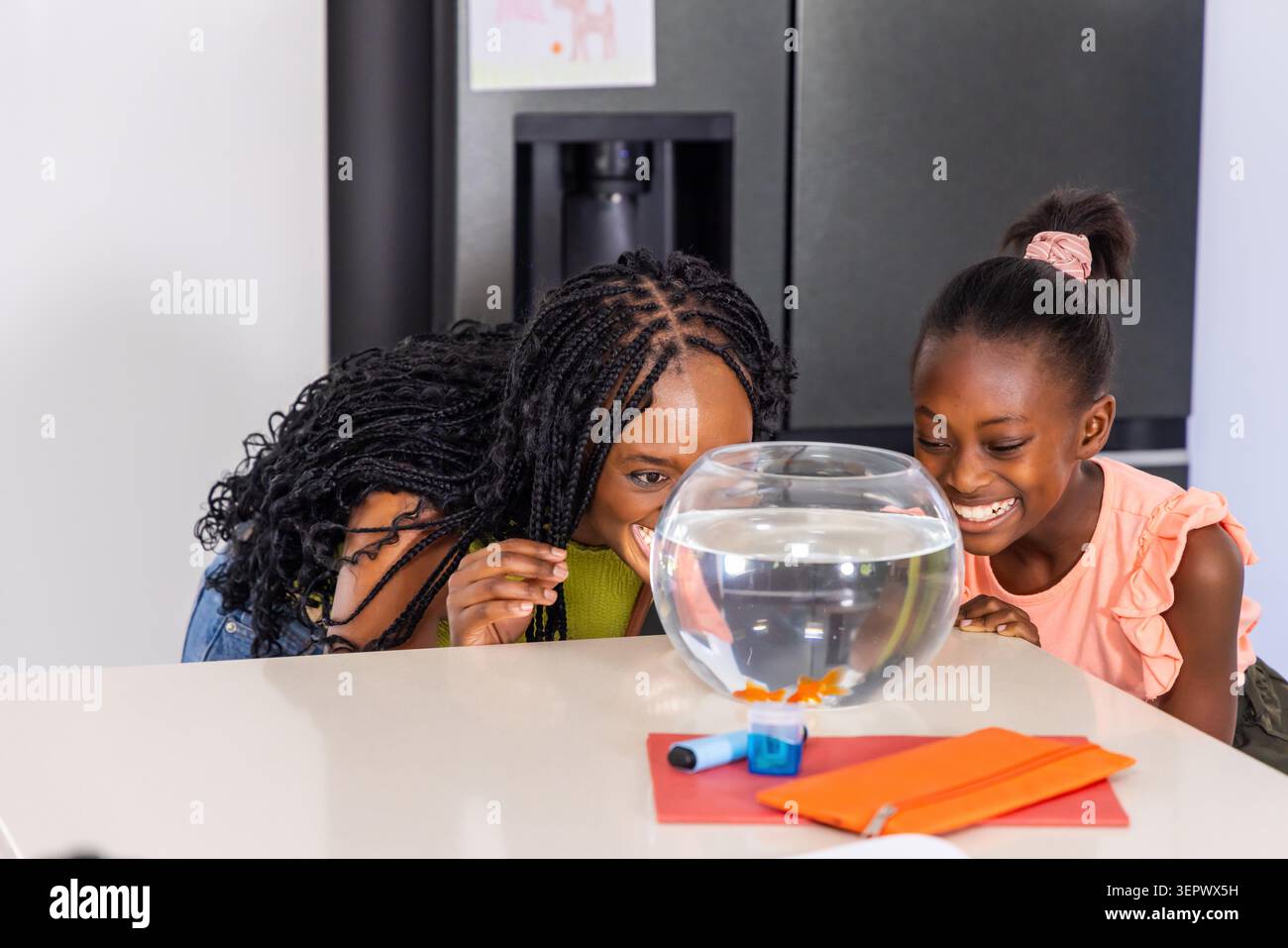 Afroamerikanische Mutter und Jugendliche lehnten sich über die weiße Arbeitsplatte in der Küche und beobachteten Goldfischschschalen. Fisch, Familie, Zuhause, hell, neugierig, lernen, Schreibwaren Stockfoto