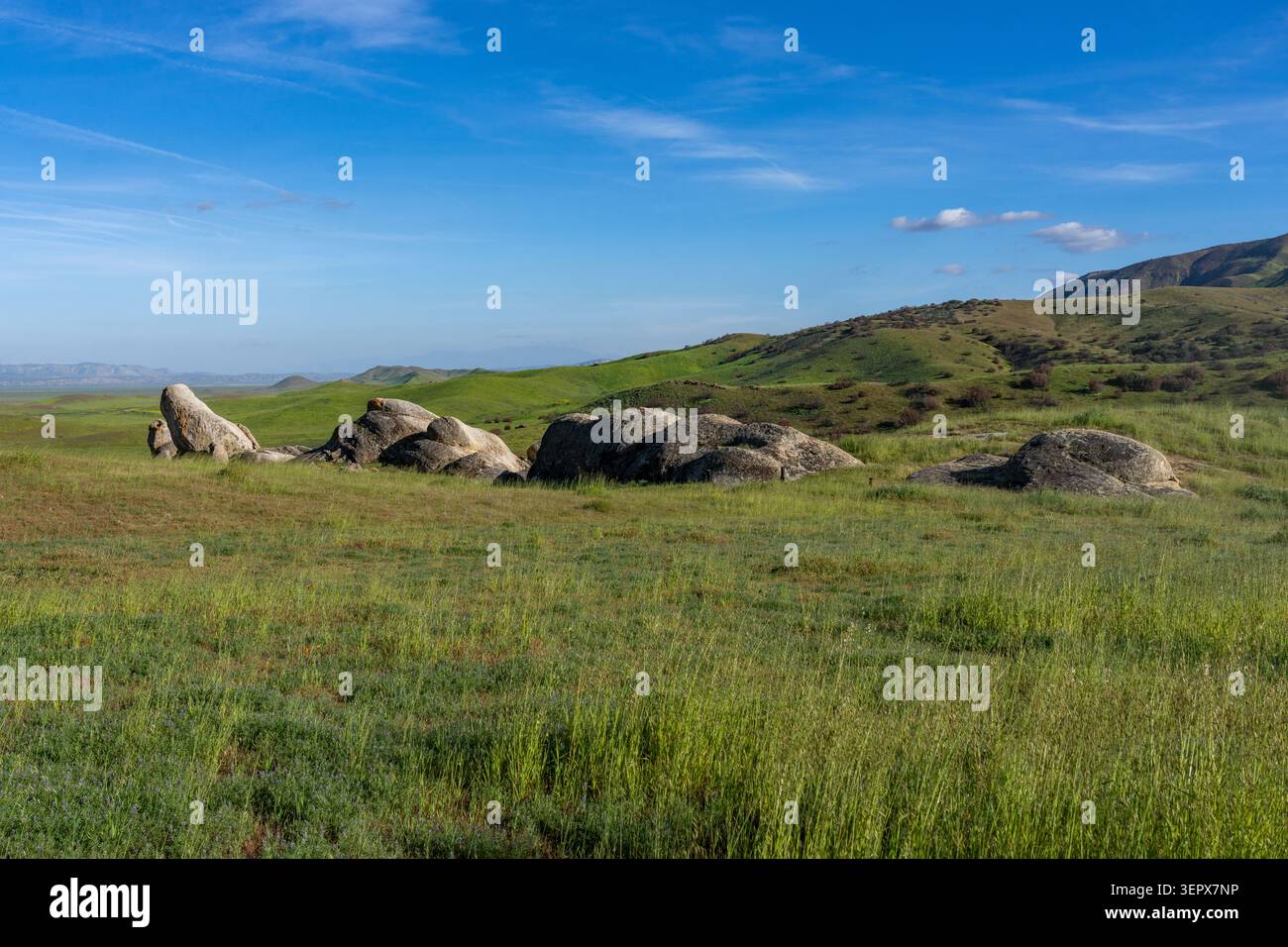 Felsformationen im Carrizo Plain National Monument, Kalifornien. Stockfoto