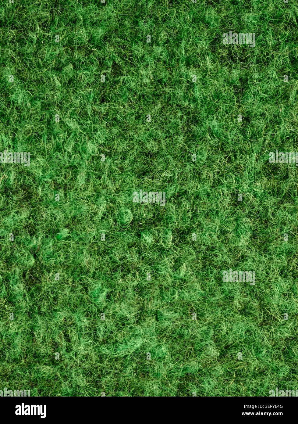 Enge Sicht von oben auf dichte grüne Moos- und Grasfasern, die einen weichen, natürlichen Teppich bilden. Das Bild zeigt verworrene Litzen, feine lockige Filamente und va Stockfoto