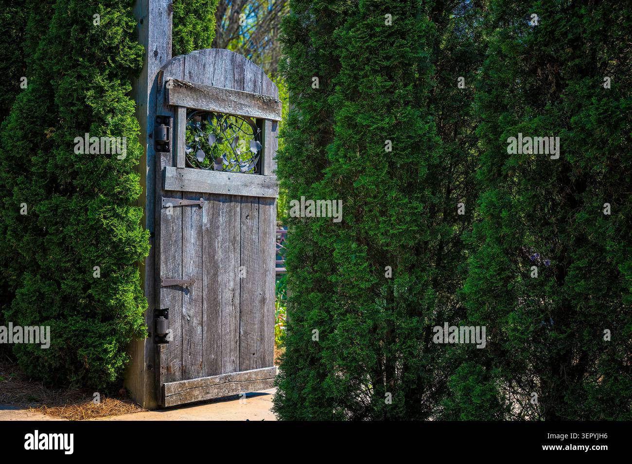 Das Garden Gate steht an einem Fußweg in Knoxville, Tennessee, dem kostenlosen historischen öffentlichen Park, den Botanical Gardens, geöffnet Stockfoto