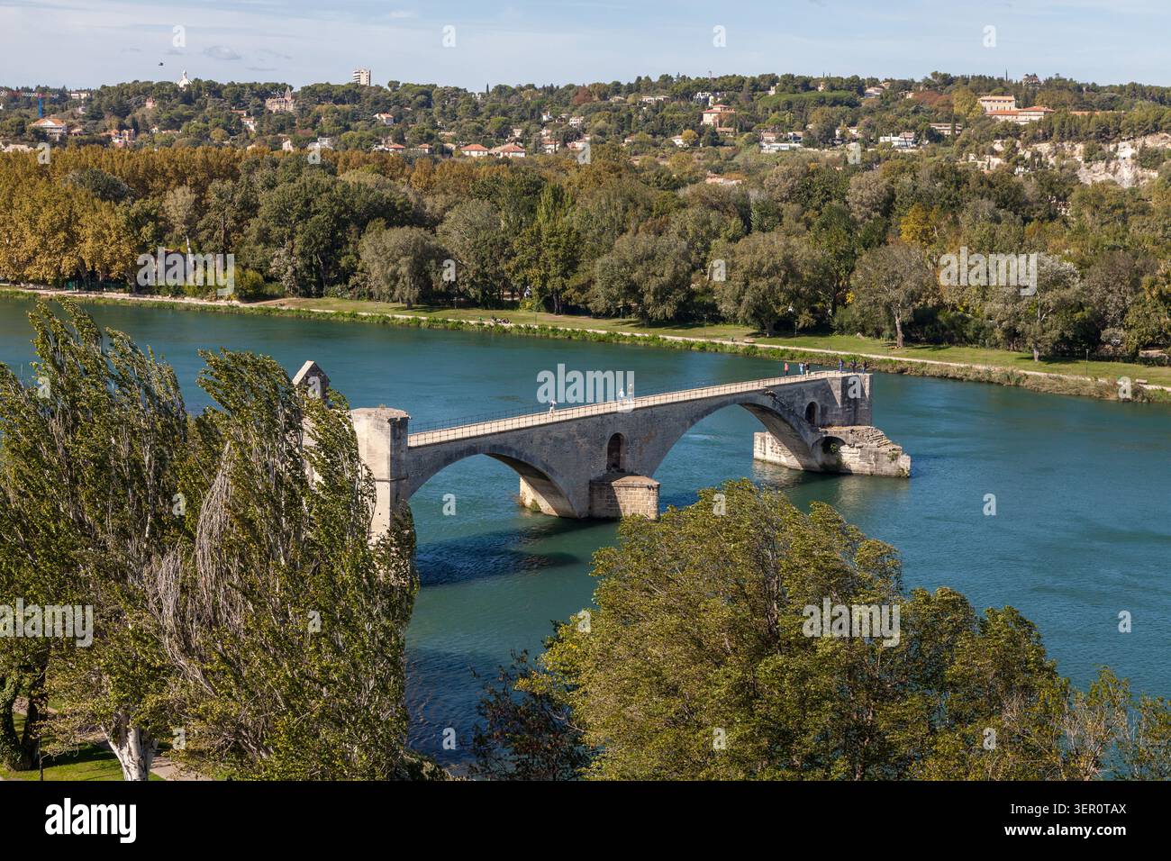 Die berühmte Brücke Pont d'Avignon erstreckt sich über den Fluss Rhône, umgeben von Bäumen und der französischen Stadt dahinter, Avignon, Frankreich Stockfoto