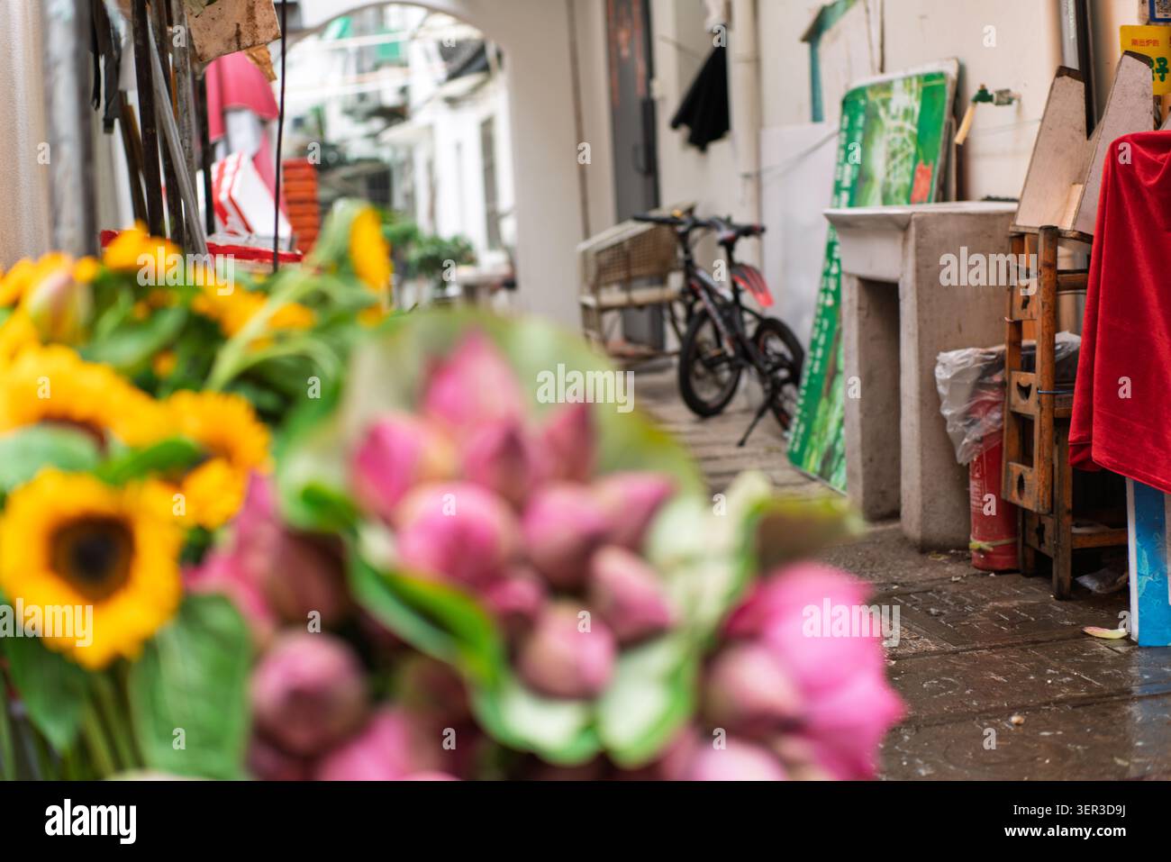 Blick auf die traditionelle schmale Gasse in Damanong hinter verschwommenen rosa Lotusknospen (Nelumbo nucifera) und Sonnenblumen (Helianthus annuus) an einem Morgen Stockfoto