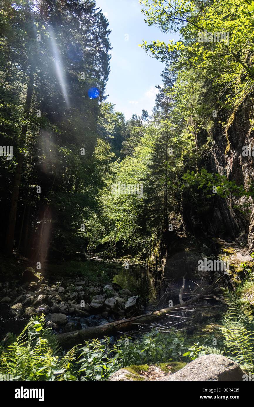 Felspassage entlang der Wolfsteiner Ohe in Buchberger leite mit Granitklippen und Waldlandschaft. Stockfoto