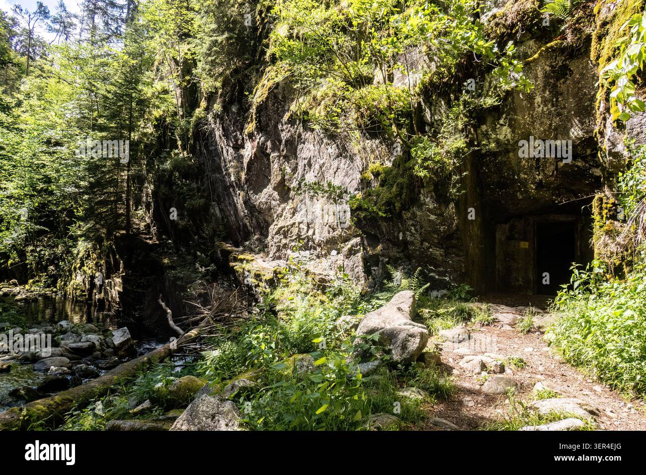 Felspassage entlang der Wolfsteiner Ohe in Buchberger leite mit Granitklippen und Waldlandschaft. Stockfoto