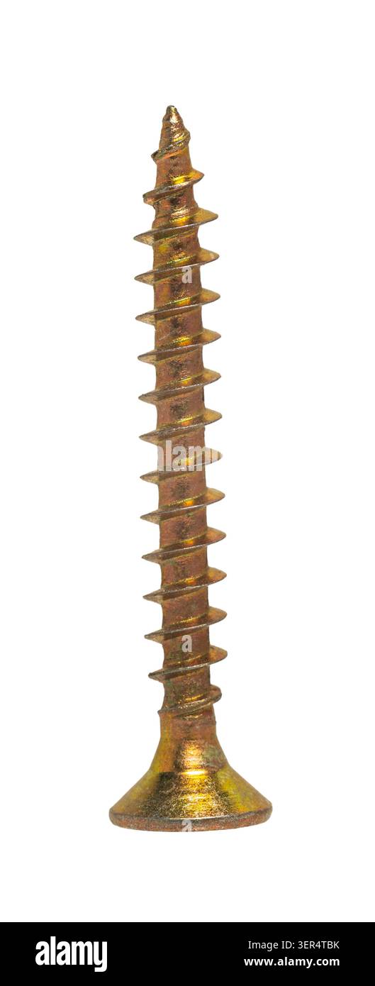 Bauschnecken-Nahaufnahme auf weißem isoliertem Hintergrund Stockfoto