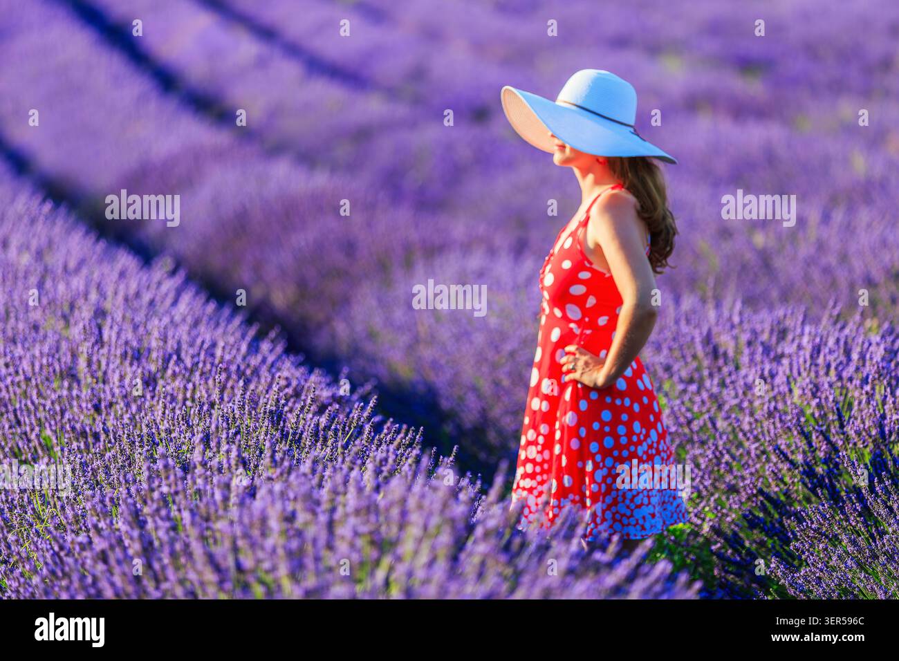 Provence, Frankreich. Ein Mädchen in weißem Kleid, das durch Lavendelfelder läuft. Stockfoto